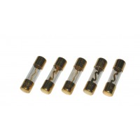 AGU Fuses: Available from 5A to 80A, 5-Pack