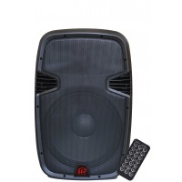 PPA-12ABL: 12" 1000W Active Power Speaker W/USB | BT