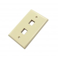 CAT503IV-2: 2 hole wall plate for CAT5/6