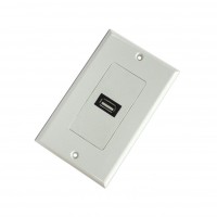 CAT-USB1: Single USB Decora Wall Plate