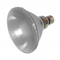 PL528LAMP: PAR HALOGEN LAMPS