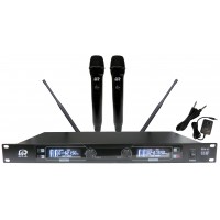 PPA61: 2-Channel 60M UHF Wireless Microphone Digital Display