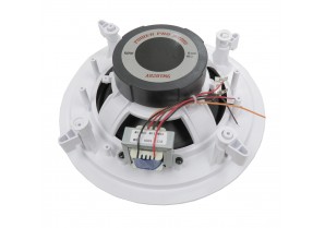 A820TMG: 8" In-Ceiling Dual Cone Speaker W/ Separate Grill