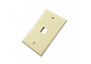 CAT503IV-1: 1 hole wall plate for CAT5/6 