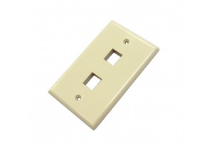 CAT503IV-2: 2 hole wall plate for CAT5/6 