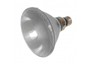 PL528LAMP: PAR HALOGEN LAMPS 